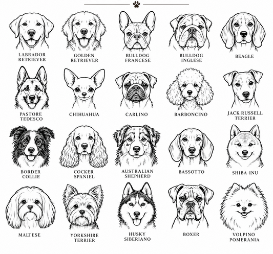 GEM BOUTIQUE PET CORNER -KIT RIVENDITORI